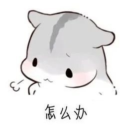 粗纺毛呢面料0
